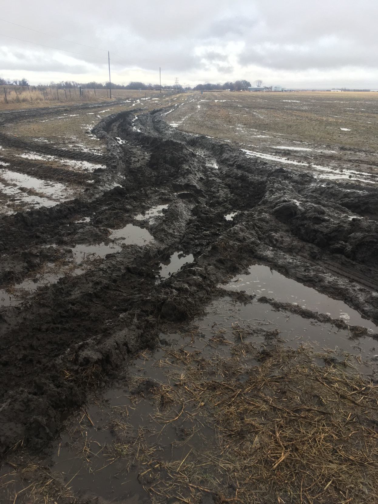 wet ground